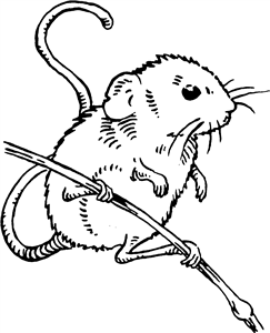 Field Mouse
