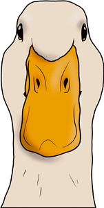 Duck Head
