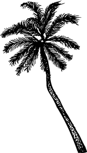 Palm Tree