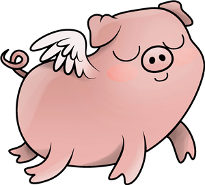 Flying Pig