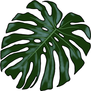 Tropical Leaf