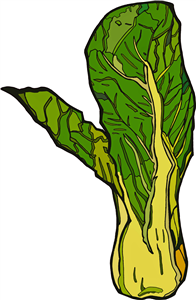 Pak Choi