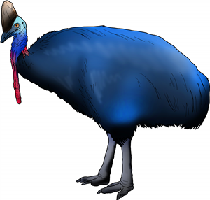 Cassowary
