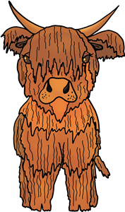 Highland Cow