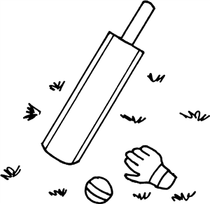 Cricket Bat & Ball