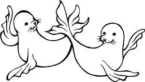 Seals