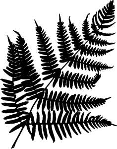 Fern Leaf