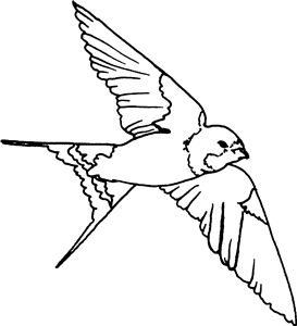 Flying Swallow