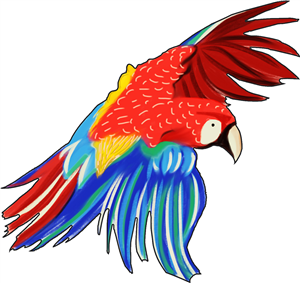 Red Macaw Parrot