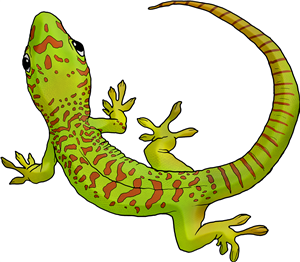 Day Gecko