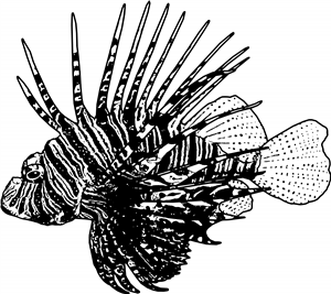 Lionfish