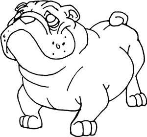 Bulldog