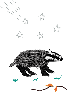 Badger on his night walk