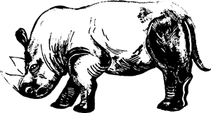 Sketched Style Rhino