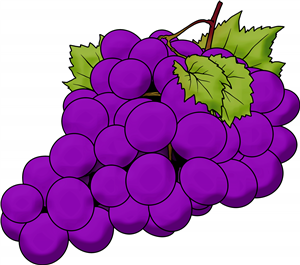 Purple Grapes