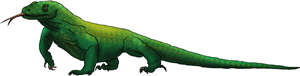 Komodo Dragon