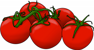 Vine Tomatoes