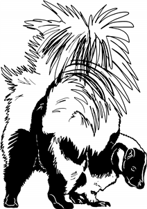 Skunk