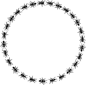 Ant Circle