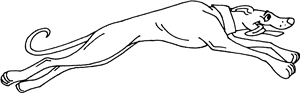 Running Greyhound