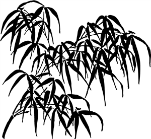 Bamboo Leaves