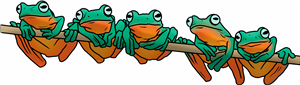 Tree Frog Family