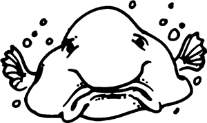 Blobfish