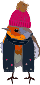 Wrapped Up Robin
