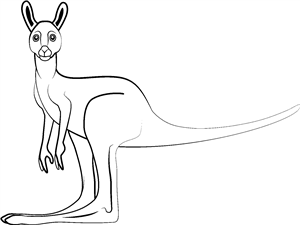 Kangaroo