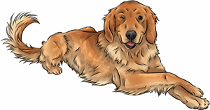 Winking Golden Retriever