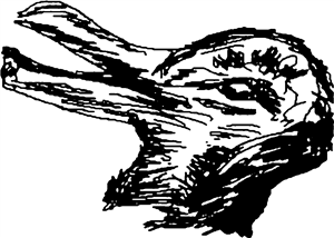 Duck Or Rabbit?
