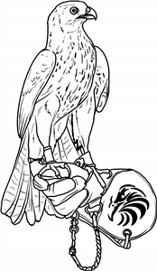 Falconry