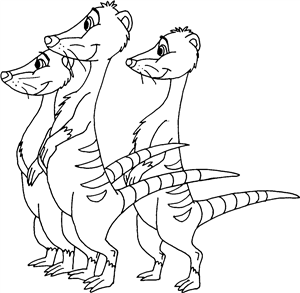 Family Of Meerkats