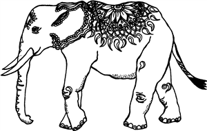 Indian Elephant