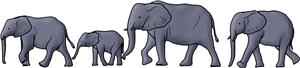 Elephant Family