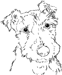 Scruffy Dog