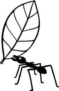 Ant & Leaf