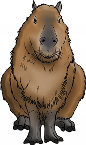 Sitting Capybara