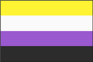 Non-Binary Pride Flag