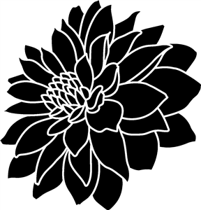 Dahlia Flower