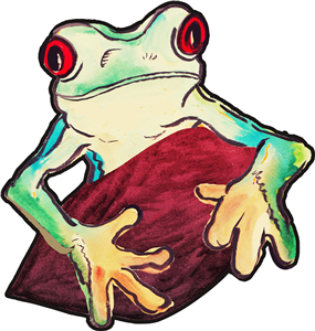 Tree Frog