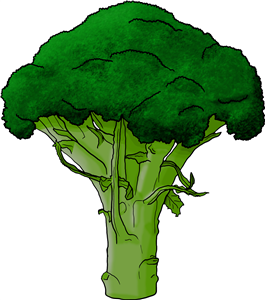 Broccoli