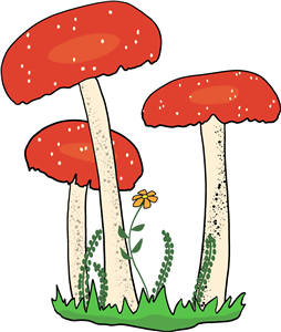 Fairy Toadstools