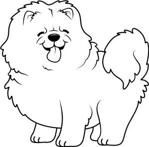 Chow Chow Dog