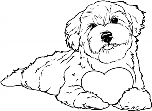 Love Heart Havanese