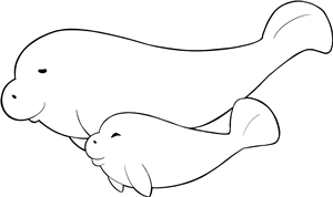 Manatee Mama and Baby