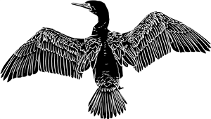 Cormorant Silhouette