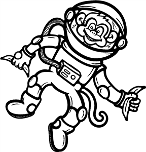 Space Monkey