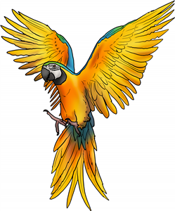 Flying Parrot