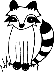 Raccoon
